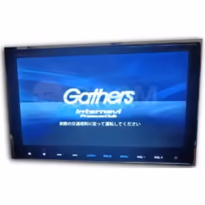 Honda VXM-185VFNi Radio Unlock
