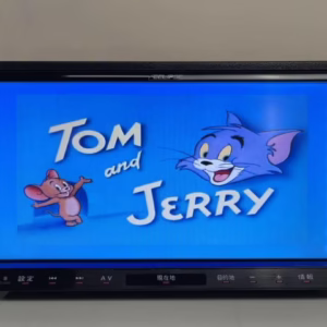 ECLIPSE AVN-Z01 Radio Unlock